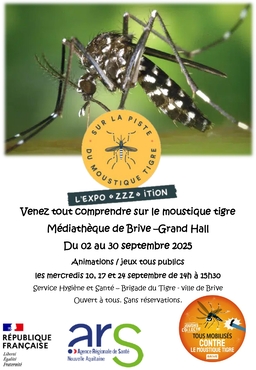 Affiche moustique 256